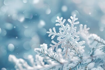 Close-up of an intricate snowflake on a frosty pine branch with blurred bokeh background