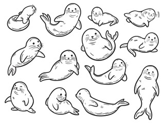 Cute Hand Drawn Seal Illustration
