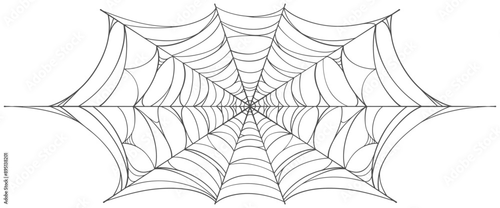 Canvas Prints spider web vector illustration