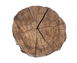old cracked cut of wood with annual rings