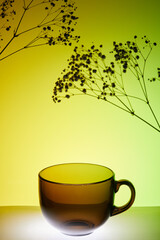 Cup and branches in nice still life