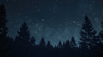 Starry Night A clear night sky filled with twinkling stars