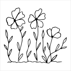 hand drawn wildflowers flower bed, monochrome, black and white