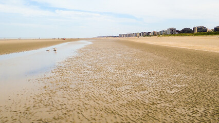 view of quiet, deserted beach in the late afternoon. Seagulls quietly search for food