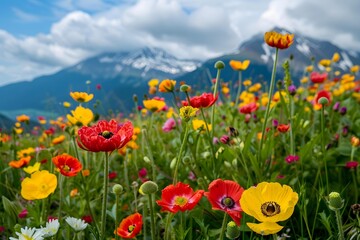 Obraz premium Field of Flowers with Mountain Background