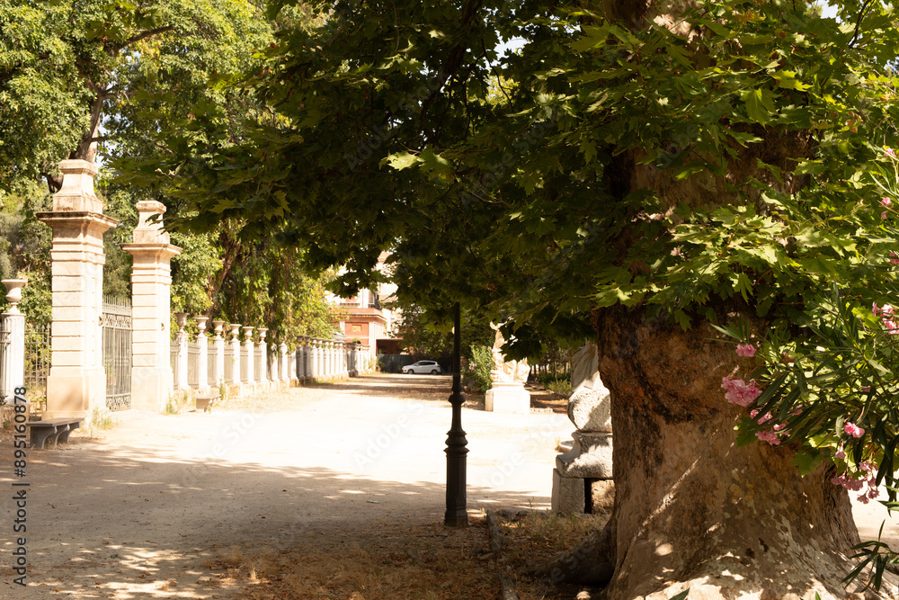Poster a tree stands tall beside a path lined with stone pillars
