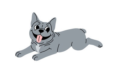 Cute dog lying flat. Funny sweet puppy smiling. Adorable doggy of French bulldog breed, canine cartoon animal. Flat vector illustration isolated on white background