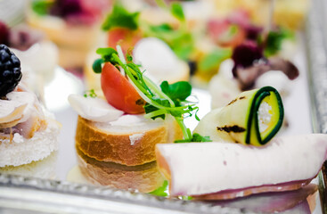 Variety of Canapes on Tray. Close-up of a variety of canapes featuring vegetables, meat, and herbs on a reflective tray. Horizontal photo.