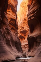 Canyon with a dry river through it