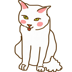 white cat