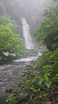 Cascada en monta{as de Chiriqui 