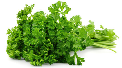 Fototapeta premium Fresh bunch of greenery. A juicy bunch of green parsley on a white background.