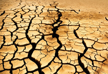 Sol en s&eacute;cheresse, manque d'eau