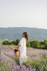  a beautiful girl in lavender fields