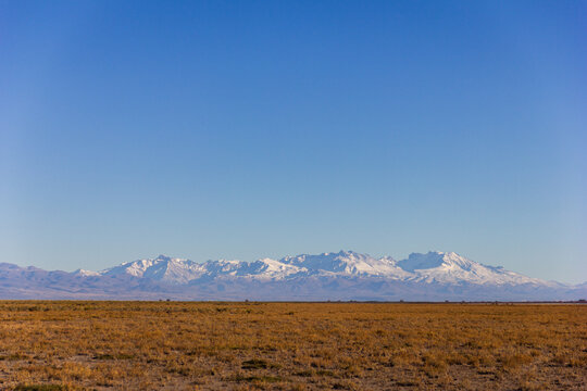 Wide Panoramic of Patagonian Steppe with Snow-capped Andes