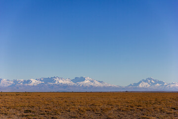 Wide Panoramic of Patagonian Steppe with Snow-capped Andes