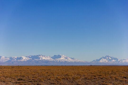 Wide Panoramic of Patagonian Steppe with Snow-capped Andes