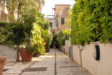 Naklejka premium A narrow walkway lined with potted plants and a tall wall
