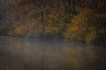 Caddo Lake  on the Texas and Louisiana state border