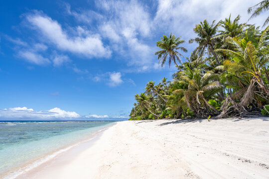 Tropical beach with palm trees, Guam, US Territory