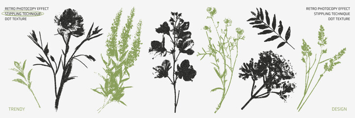 A vintage style herbarium plant set with a photocopy effect. Trendy grunge style dried wildflowers and medicinal plants. 