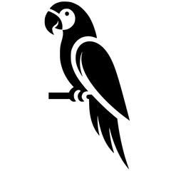 Silhouette of a macaw bird