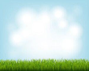 Fototapeta premium Green Grass Border And Blue Sky