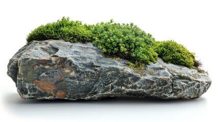 Green Mossy Rock