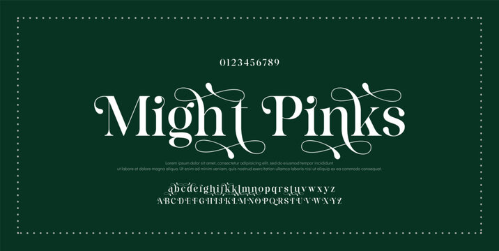 Luxury sans serif alphabet letters font and number. Classic Lettering Minimal Fashion Designs. Typography decorative wedding fonts and logo. vector illustration.