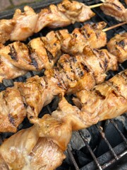 Chicken skewers on the grill close up