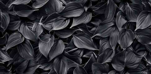Abstract black leaves textures for tropical leaf background. Flat lay, dark nature concept, digital ai, tropical leaf.