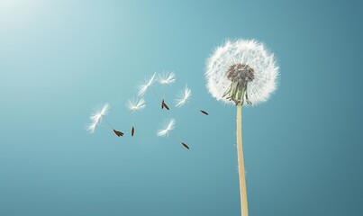 Dandelion seeds blowing away against a blue sky.