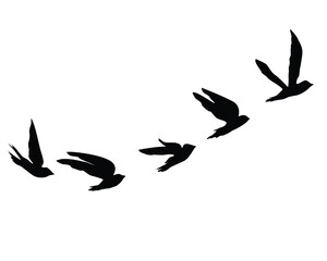 pink butterfly on white background	