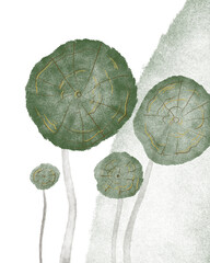 water lily, abstract minimalist illustration green poster