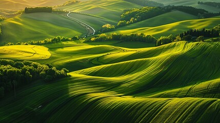 Rolling hills blanketed in a patchwork of vibrant green fields and golden crops, separated by lines of trees and winding country roads.