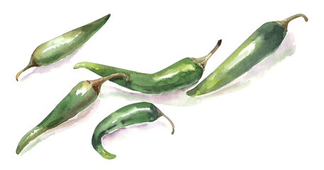 Watercolor set of green chili peppers. Fresh jalopeno illustration isolated on white background. Spicy Mexican food for cafe and menu design