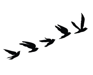 Fototapeta premium flock of bird flower hand drawn set