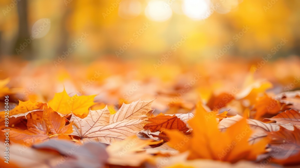 Poster a pile of yellow leaves on the ground. the leaves are scattered and some are larger than others. the