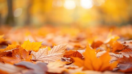 A pile of yellow leaves on the ground. The leaves are scattered and some are larger than others. The leaves are in various stages of falling, some are still attached to the tree