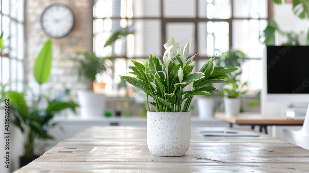 Aufkleber a white flower pot with a plant in it sits on a wooden table. the table is surrounded by potted plan
