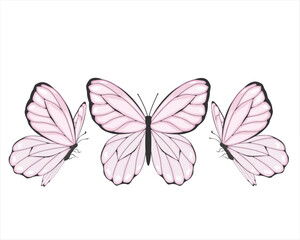 pink butterfly watercolor vector design