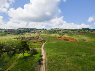 landscape with a road in the middle of grass and blue sky