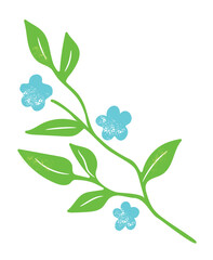 Elegant light-green twig with blue flowers, herb