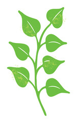 Light-green twig with heart-shaped leaves, herb