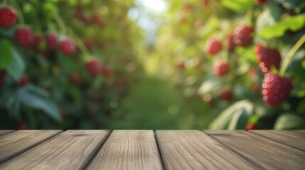 Fototapeta premium close up of empty wooden table with blurred red raspberry farm field background