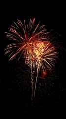 Colorful Fireworks Lighting Up the Night Sky