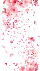 Obraz premium Falling Rose Petals on a White Background
