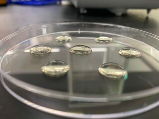 Water droplets on the petri dish