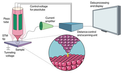 Detailed Vector Illustration of Atomic Force Microscopy Principle and Instrumentation on White Background, AFM Diagram, Scientific Visualization.