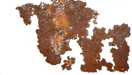 Rust Texture Close-up